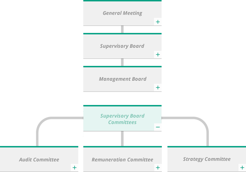 supervisory-board-committees