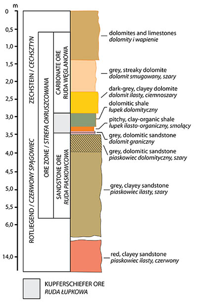 Przekrój geologiczny przez złoża rud miedzi na monoklinie przedsudeckiej Przekrój geologiczny przez złoża rud miedzi na monoklinie przedsudeckiej