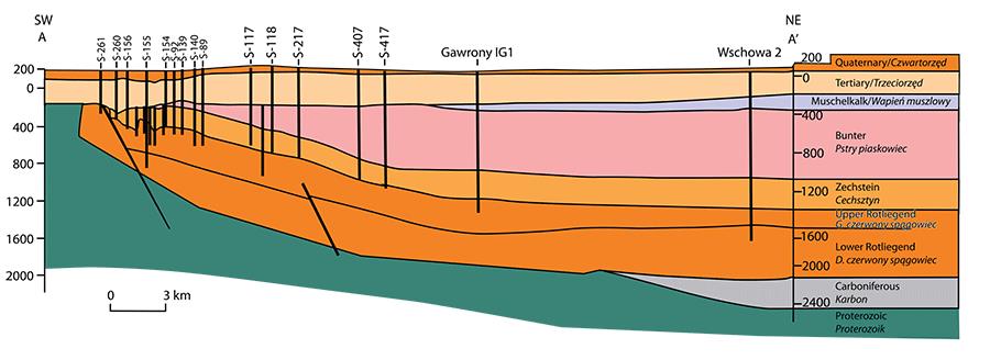 Profil geologiczny złoża rud miedzi na monoklinie przedsudeckiej Profil geologiczny złoża rud miedzi na monoklinie przedsudeckiej