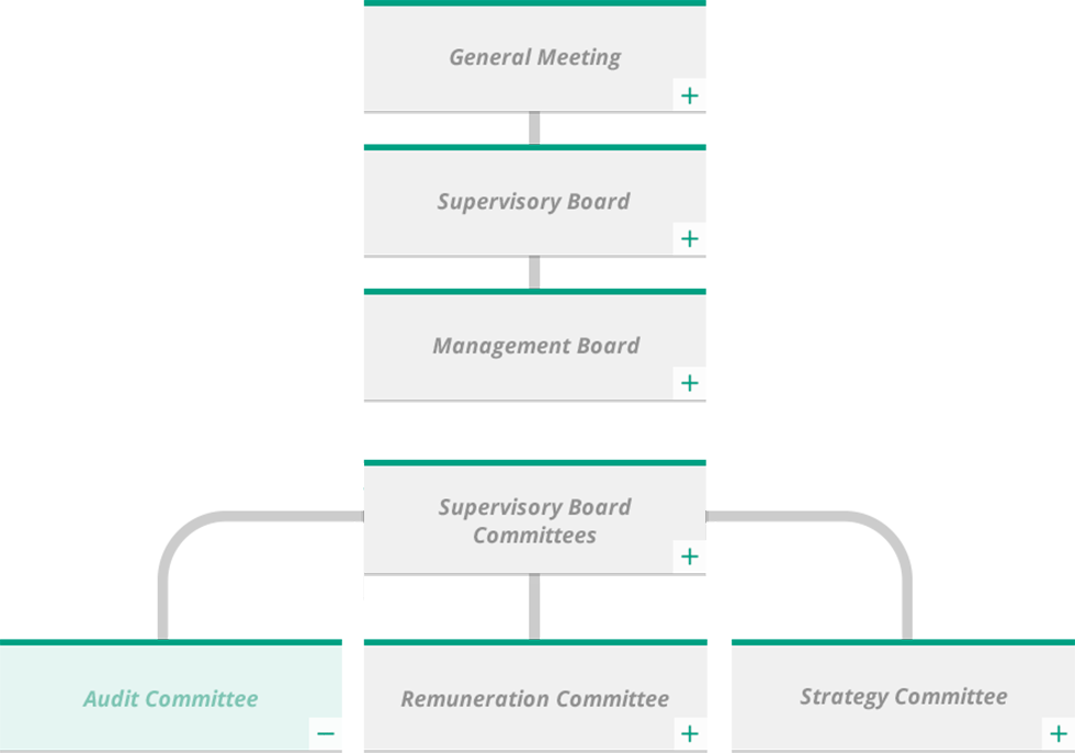 audit-committee