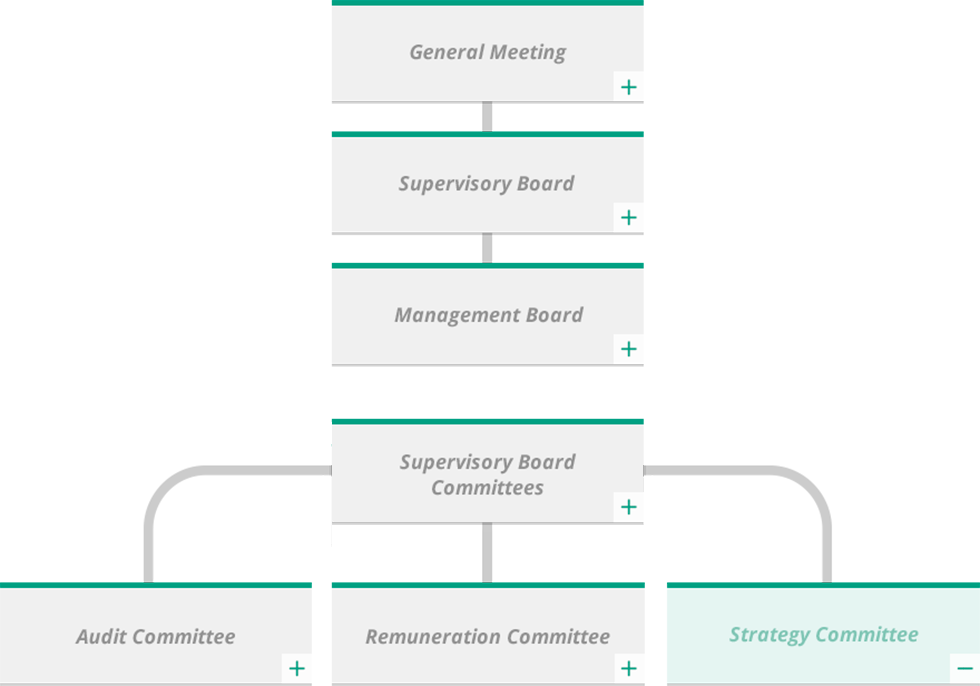 strategy-committee