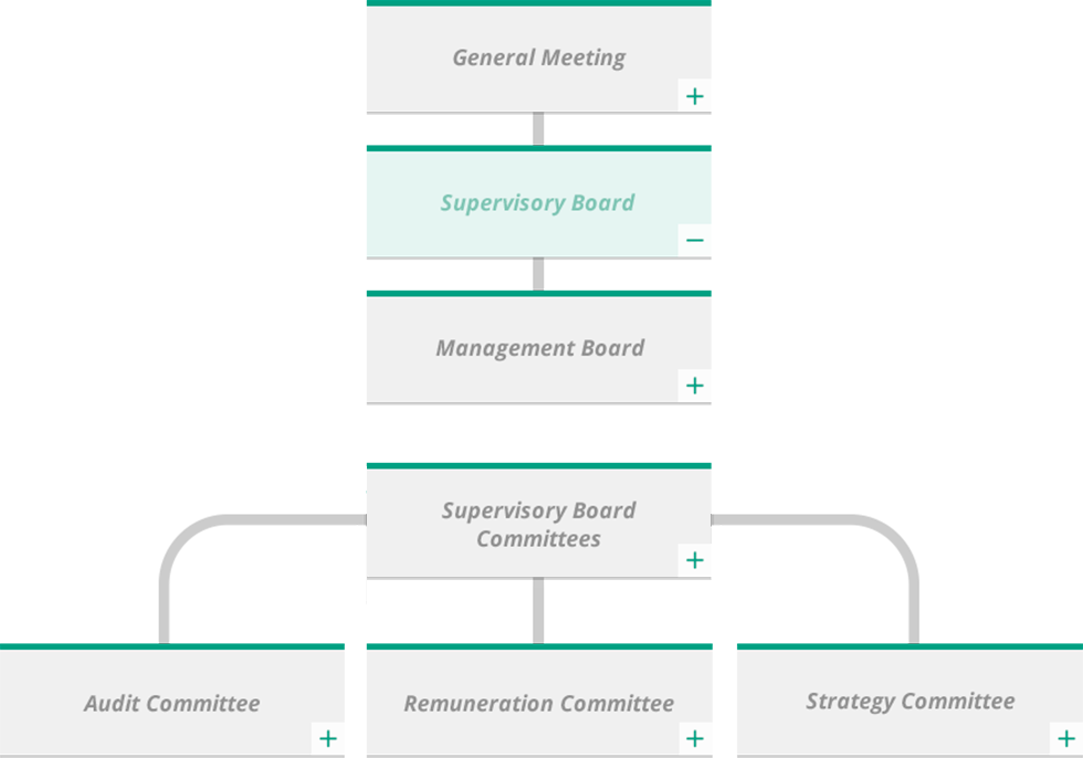 supervisory-board